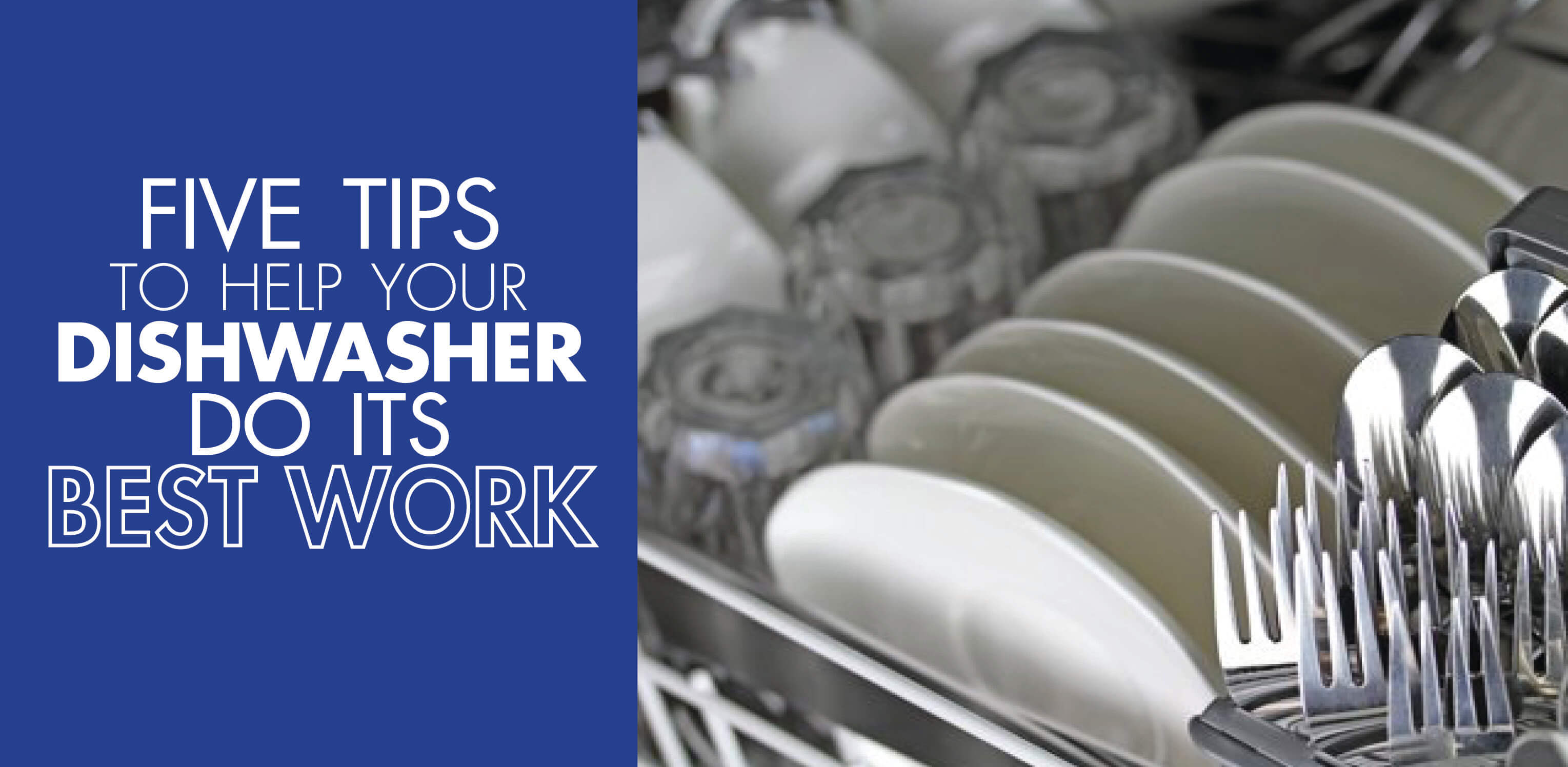 ma-bloggraphicshelp_dishwasher_do_its_best_work image